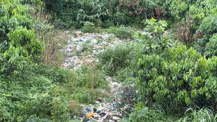 Việc đổ rác xuống khe nước khiến tình trạng ô nhiễm tăng thêm.