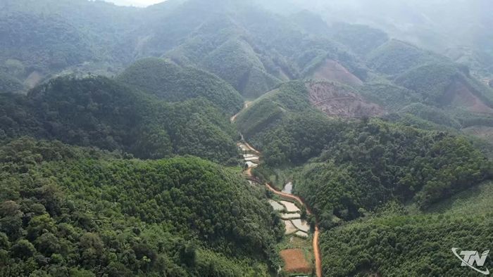 Lâm nghiệp phát triển theo hướng nâng cao giá trị rừng trồng, gắn với bảo vệ môi trường và phát triển bền vững, duy trì tỷ lệ che phủ rừng toàn tỉnh trên 60%.