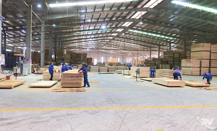 Công nghiệp chế biến lâm sản chiếm tỷ trọng cao trong cơ cấu ngành chế biến, góp phần nâng cao giá trị gỗ rừng trồng và phát triển kinh tế rừng bền vững.