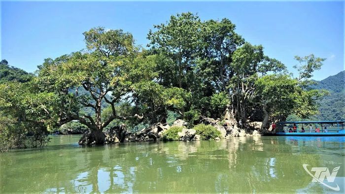 Đảo Bà Góa trên hồ Ba Bể.