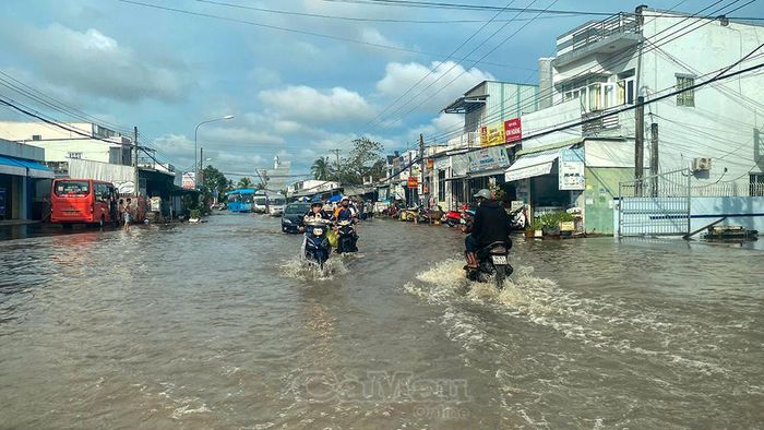 Tại các phường trung tâm, nhiều tuyến đường trũng thấp thường bị ngập úng mỗi khi có mưa kết hợp triều cường. (ảnh minh họa, chụp năm 2025).