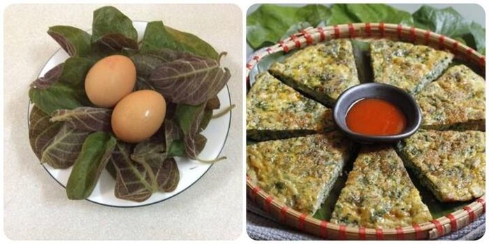 Mặc dù món trứng lá mơ có thể hỗ trợ giảm triệu chứng tiêu chảy nhẹ, nhưng không phải là giải pháp thay thế y khoa.