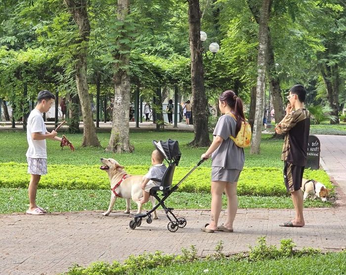 Người dân cảm thấy "ngạt thở" và lo lắng mỗi khi dắt con nhỏ vào công viên