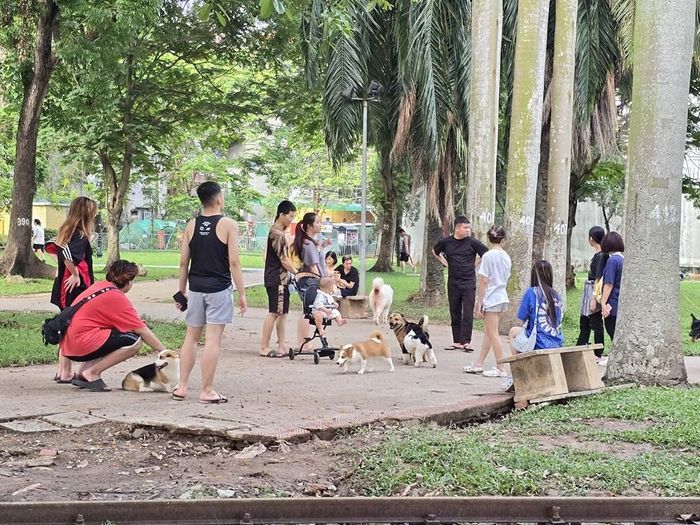 Một số người dân, đặc biệt là giới trẻ coi công viên là nơi khoe thú cưng