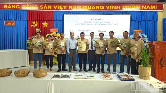 Ra mắt Hợp tác xã Lúa mùa nổi Vĩnh Gia.