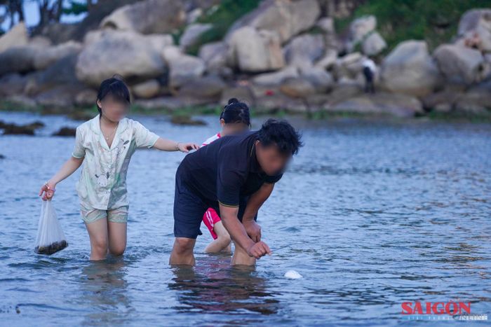  Nhiều người dân và du khách lội ra xa vui chơi khi thủy triều rút 