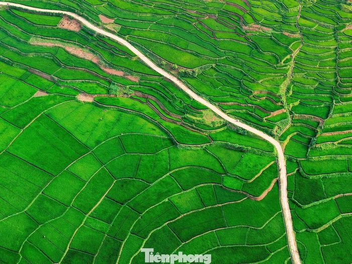  Không ồn ào, náo nhiệt như nhiều điểm du lịch khác, bản Hùn hấp dẫn bởi vẻ đẹp nguyên sơ và nhịp sống bình yên. Những con đường bê tông sạch sẽ chạy quanh cánh đồng, dòng nước từ các con mương len lỏi qua từng thửa ruộng, tiếng cười nói của người dân đi làm đồng… tất cả tạo nên một vẻ đẹp đậm chất miền sơn cước. 