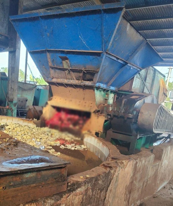 Máy chế biến mủ cao su nơi xảy ra sự việc đau lòng.