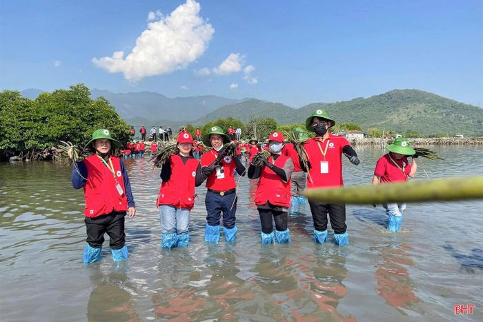 Các tình nguyện viên chữ thập đỏ tỉnh Hà Tĩnh tham gia hoạt động do Trung ương Hội Chữ thập đỏ Việt Nam phát động.
