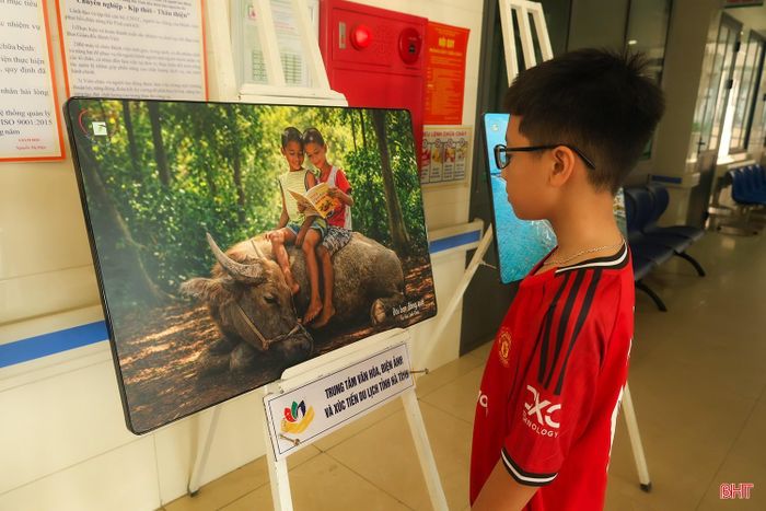 Không chỉ giúp không gian bệnh viện trở nên gần gũi, sinh động hơn, những bức tranh còn mang đến cảm giác thư thái, lạc quan cho bệnh nhân trong quá trình điều trị.