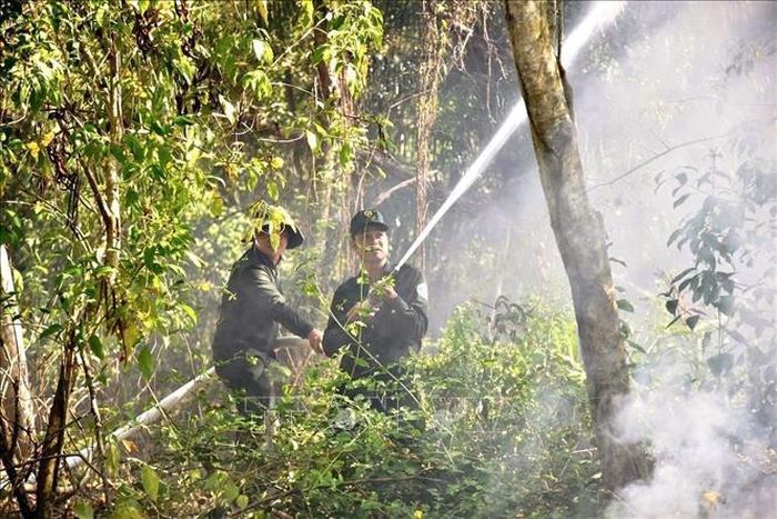 Công tác diễn tập phòng cháy, chữa cháy rừng được quan tâm, chú trọng giúp bảo vệ các diện tích rừng được an toàn vào mùa khô hàng năm.
