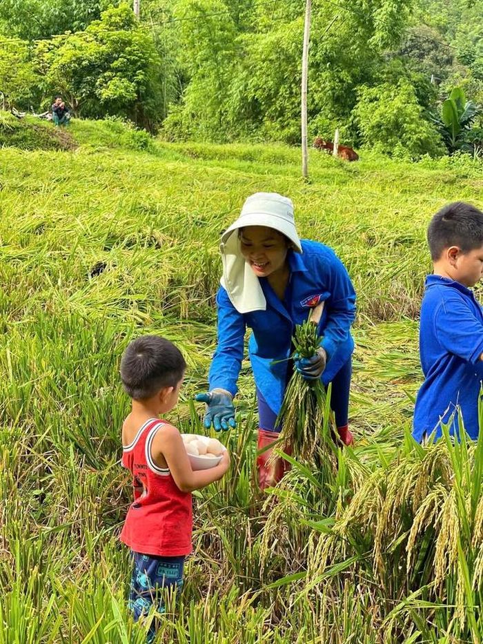 Chị Nguyễn Thị Xuân Quỳnh cùng hai con trai cùng thu hoạch thành quả lao động
