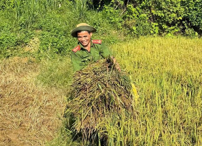 Niềm vui của chiến sĩ công an khi giúp người dân thu hoạch lúa. Ảnh: P. Bé