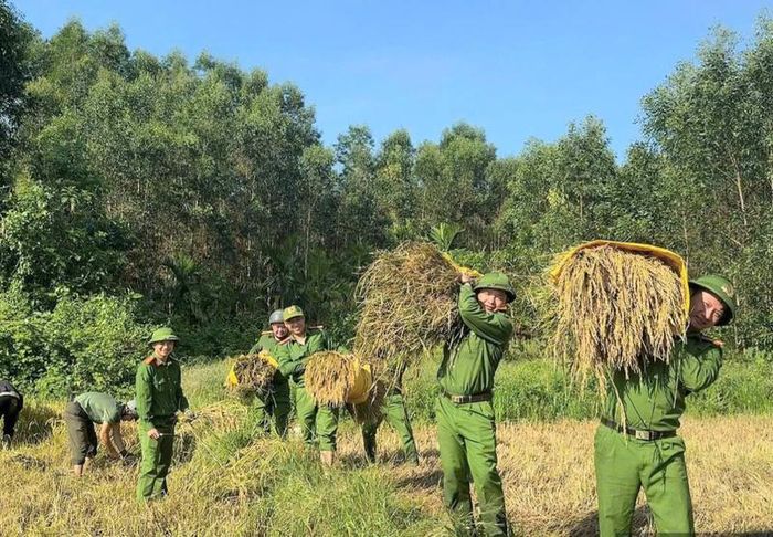 Hình ảnh đẹp với những bó lúa trên vai của chiến sĩ công an xã Long Quảng. Ảnh: P. Bé