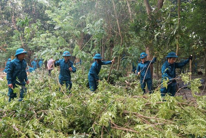 Lực lượng dân quân phường Điện Biên Phủ hỗ trợ gia đình cụ Nguyễn Hữu Chấp và các gia đình tại tổ 20 Him Lam thu dọn cây cối, nhà cửa để di chuyển bàn giao mặt bằng. Ảnh: Lê Lan