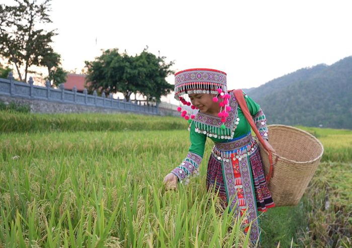 Niềm vui của thiếu nữ Mông
