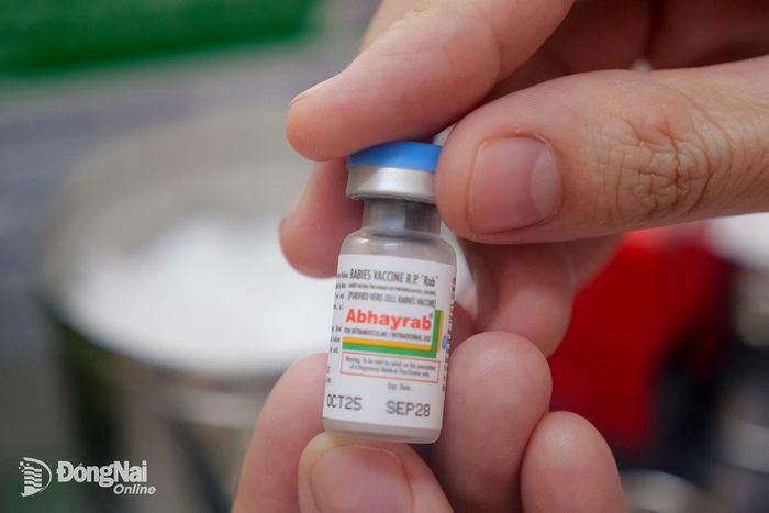 Vaccine phòng bệnh dại đang được sử dụng tại các cơ sở tiêm chủng. Ảnh: Hạnh Dung