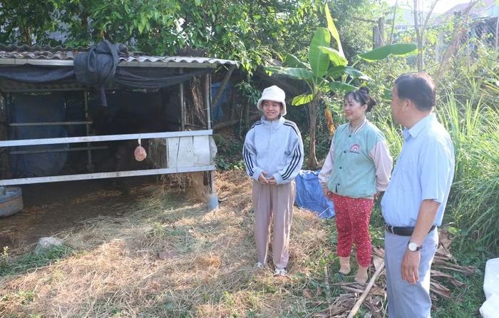 Cuộc sống của gia đình chị Đinh Thị Vay (ngoài cùng bên trái) sau ra riêng gặp nhiều khó khăn nên việc được hỗ trợ 2 con bò vỗ béo để phát triển chăn nuôi là nguồn động lực lớn để chị nỗ lực vươn lên. Ảnh: Quang Tấn