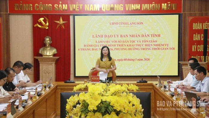 Đồng chí Trần Thanh Nhàn, Phó Chủ tịch UBND tỉnh phát biểu chỉ đạo tại buổi làm việc