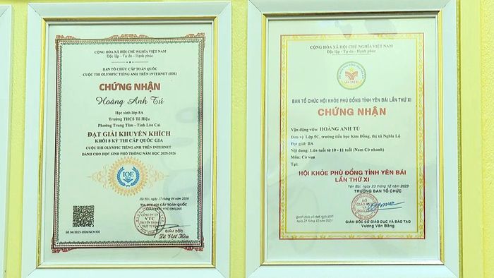 Một số giải thưởng Anh Tú đã đạt được.