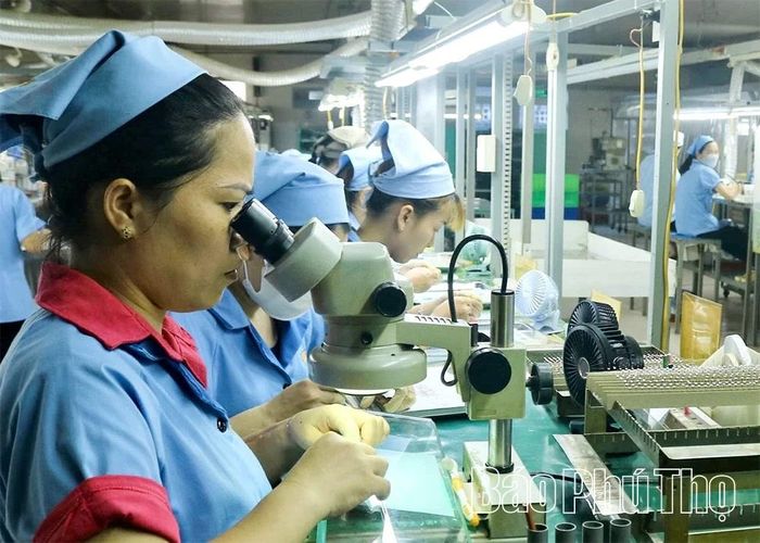 Những năm qua, đã có nhiều sáng kiến, cải tiến kỹ thuật được áp dụng vào sản xuất hiệu quả tại Công ty TNHH Sanko Hòa Bình.