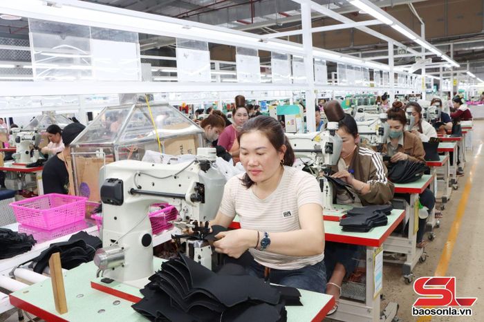 Ca sản xuất của công nhân Chi nhánh Công ty TNHH Đầu tư và Phát triển Goodfaith Việt Nam tại Sơn La.