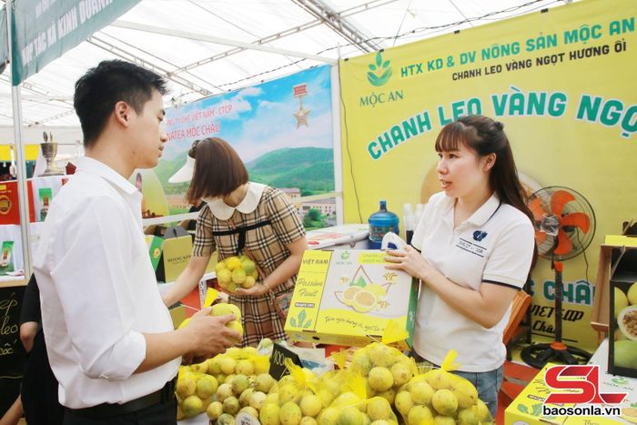 Du khách chọn mua sản phẩm chanh leo vàng của HTX Kinh doanh và dịch vụ nông sản Mộc An ORGANIC, phường Mộc Châu.