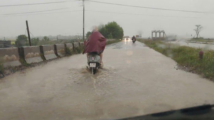 Mưa lớn kéo dài làm ngập nhiều đoạn tại đường đê sông Đào, xã Giai Lạc (huyện Yên Thành cũ), Nghệ An.