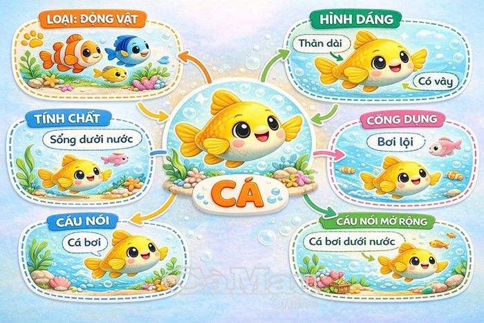 Các hình ảnh được phát triển theo sơ đồ tư duy cho trẻ chậm nói ở nhiều cấp bậc khác nhau.