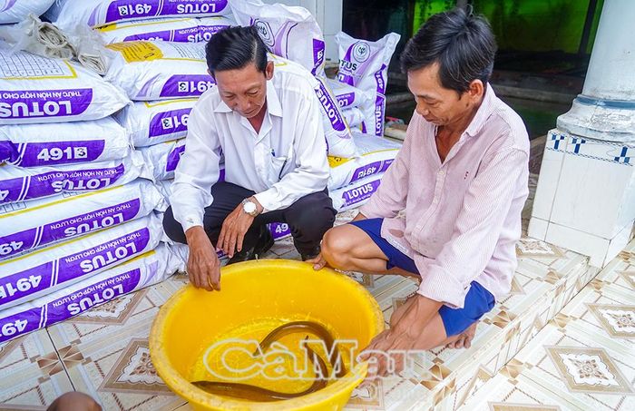 Chủ tịch Hội Nông dân xã An Trạch Võ Hoàng Minh tìm hiểu tình hình đầu ra lươn thương phẩm tại hộ nuôi của ông Hồ Văn Quyền.