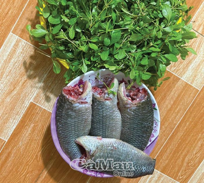Cá rô đồng tươi rói, rau đắng đất xanh mướt, món ngon cho bữa cơm chiều.
