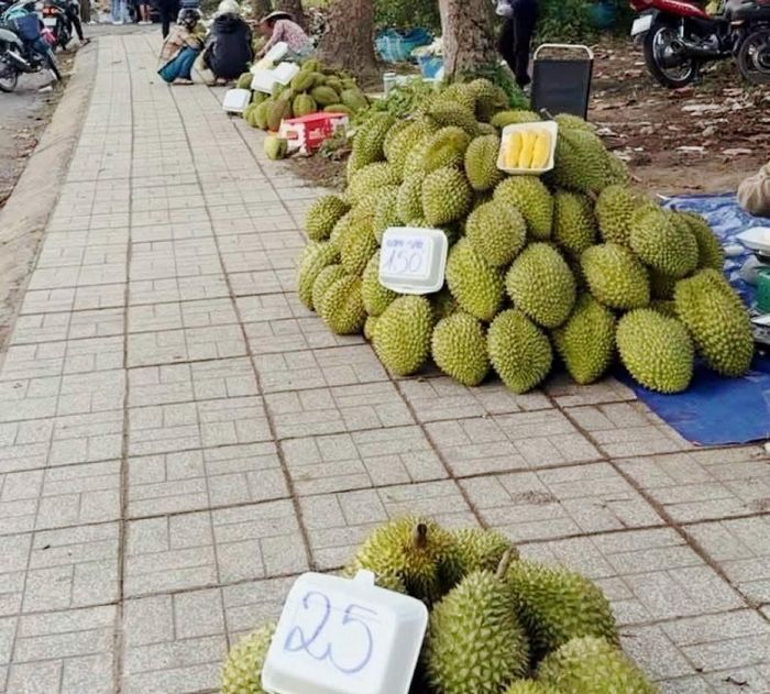 Nhiều nhà vườn phải mang sầu riêng ra bán ven đường khi thương lái giảm thu mua, giá liên tục lao dốc.