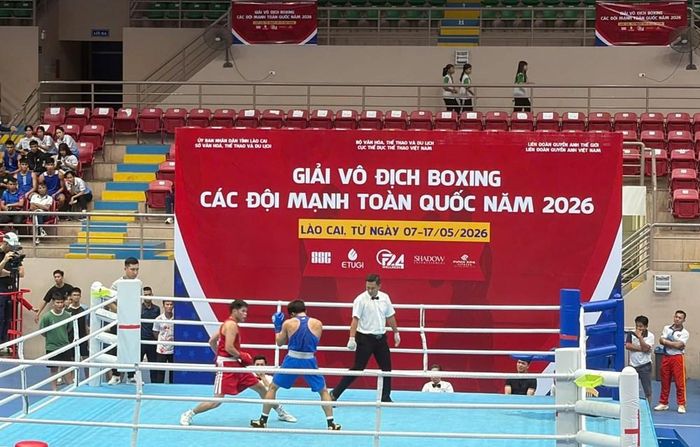 Giải có sự tham gia của 312 VĐV tranh tài ở nhiều hạng cân nam và nữ
