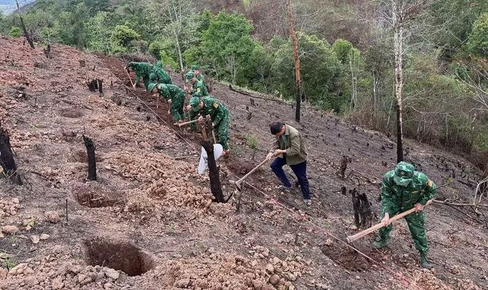 Cán bộ, chiến sĩ Đồn biên phòng Na Cô Sa giúp nhân dân bản Na Cô Sa 1 đào hố chuẩn bị trồng cây cà-phê, mắc-ca.
