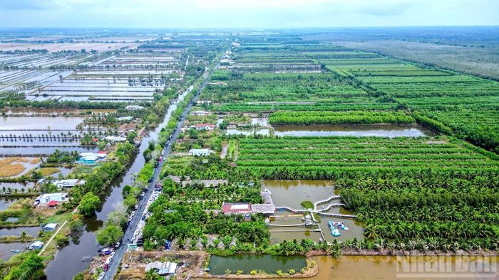 Một góc vùng quê nông thôn thuộc ấp Vồ Dơi, xã Đá Bạc, tỉnh Cà Mau.