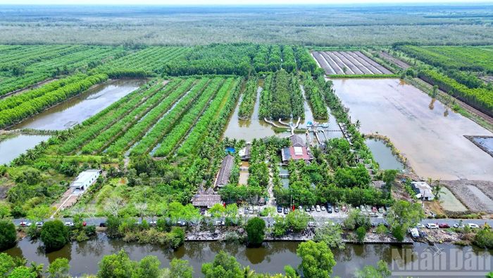 Trong tương lai, vùng quê đáng sống ở Cà Mau không chỉ có hạ tầng tốt mà đòi hỏi phải gắn kết cộng đồng và sinh kế người dân phải được cải thiện...