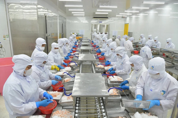 Xuất khẩu thủy sản của Việt Nam 4 tháng đầu năm 2026 đạt khoảng 3,7 tỷ USD, tăng 14 - 15% so với cùng kỳ năm ngoái. Ảnh: HỒNG THẮM