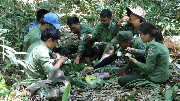  Bữa trưa bằng cơm nắm giữa rừng. Ảnh: HỮU PHÚC 