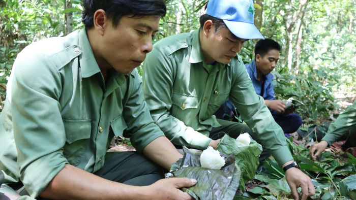  Cơm nắm kèm cá kho là bữa ăn trưa của nhân viên bảo vệ rừng. Ảnh: HỮU PHÚC 