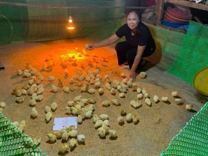 Chương trình “Trao giống gia cầm và chuyển giao kỹ thuật cho hội viên người khuyết tật – Mô hình vốn quay vòng” đã đi qua 5 địa phương ở Nghệ An, Hà Tĩnh.