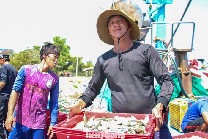 Vừa tất bật chuyển những mẻ cá cuối cùng lên bờ, anh Nguyễn Viết Mạnh (trú Gia Lai) không giấu được niềm vui sau chuyến biển kéo dài gần 2 tháng. Anh cho biết tàu của mình trúng đậm hải sản nên ai nấy đều rất phấn khởi. “Đi biển dài ngày cực lắm, nhiều hôm sóng lớn, anh em lênh đênh giữa biển rất nhớ nhà. Nhưng khi tàu đầy cá trở về thì ai cũng vui, coi như công sức bỏ ra được đền đáp”, anh Mạnh chia sẻ.