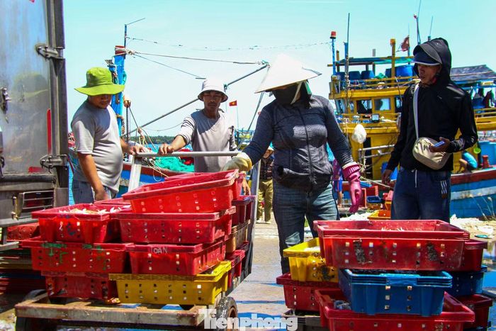 Tại khu vực thu mua hải sản, nhiều tiểu thương có mặt từ sớm để chờ tàu cập bến. Người lựa cá, người cân hàng, đóng thùng chuyển lên xe tải tạo nên khung cảnh tấp nập.