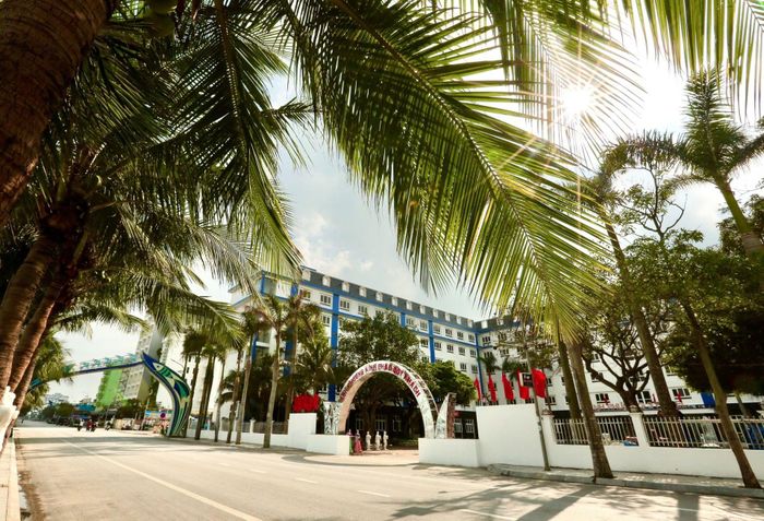 Nhiều doanh nghiệp đã chủ động nâng cấp cơ sở vật chất, hỗ trợ kinh phí đảm bảo vệ sinh môi trường cảnh quan chung của khu du lịch Hải Tiến