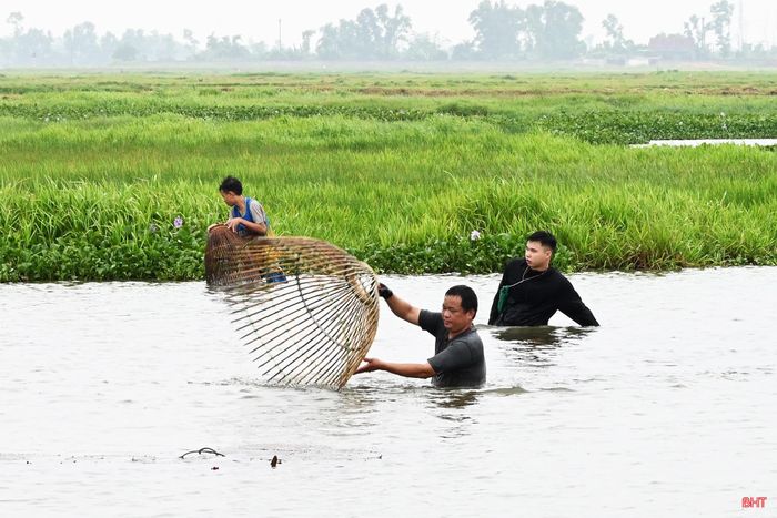 Người tham gia chỉ được sử dụng nơm tre - dụng cụ đánh bắt truyền thống để "săn" cá.