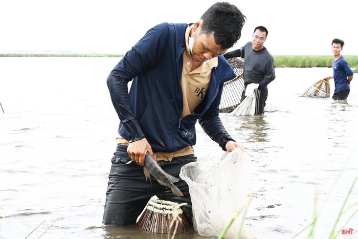 Người dân mang theo những "chiến lợi phẩm" trong buổi “săn" cá đầy niềm vui.