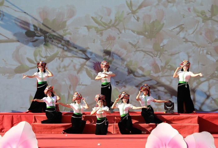 Đoàn nghệ thuật quần chúng phường Tô Hiệu, tỉnh Sơn La trình diễn tại Liên hoan nghệ thuật xòe Thái lần thứ 2, năm 2025. Ảnh: Nguyễn Cường/TTXVN