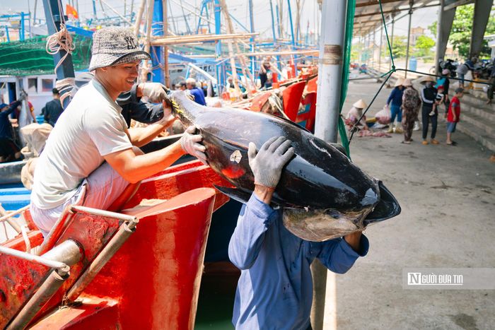 Bên cạnh các chính sách tạo điều kiện để ngư dân vươn khơi, tỉnh Đắk Lắk còn xây dựng các chương trình nhằm đưa cá ngừ từ đặc sản thành “đại sứ du lịch”. Từ đó quảng bá hình ảnh vùng biển Đắk Lắk gắn với cá ngừ đại dương và giá trị văn hóa, lao động tiêu biểu của ngư dân địa phương; góp phần tạo dựng hình ảnh Đắk Lắk là điểm đến giàu bản sắc với những trải nghiệm khác biệt trong chuỗi du lịch Việt Nam.