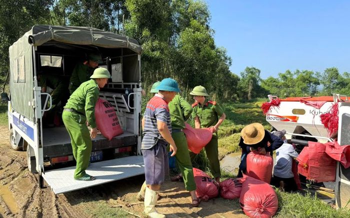 Tại xã Thành Bình Thọ, sau khi hỗ trợ người dân lợp lại mái nhà tốc mái do dông lốc, lực lượng công an xã tiếp tục xuống đồng giúp bà con thu gom, bốc vác và vận chuyển lúa bằng xe chuyên dụng về tận nhà.