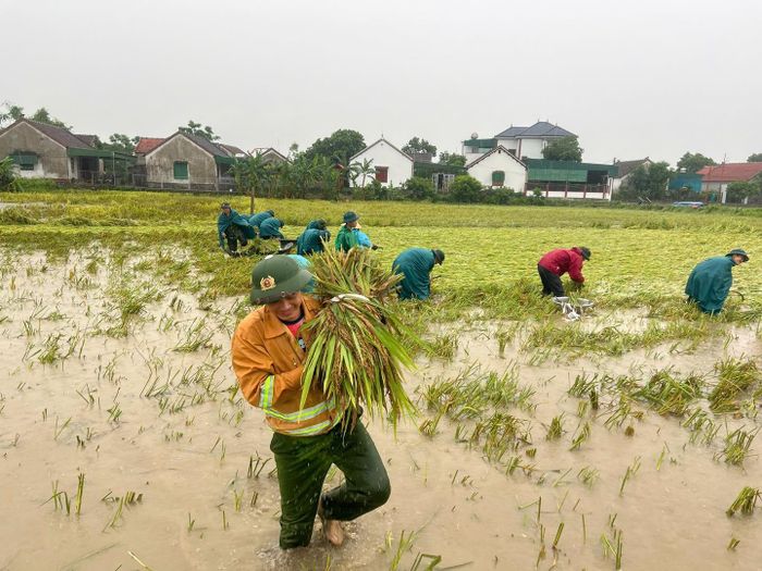 Đại úy Nguyễn Xuân Đức, Bí thư Chi đoàn thanh niên Công an xã Thiên Nhẫn - cho biết, thời điểm này trùng đợt cao điểm làm định danh điện tử cho trẻ từ 6 đến 14 tuổi nhưng với tinh thần xung kích, vì dân, lực lượng công an xã đã có mặt ngoài đồng, hỗ trợ người dân thu hoạch lúa, giảm thiệt hại do thiên tai gây ra.