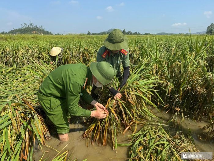 Thượng tá Thái Đậu Cường, Bí thư Đoàn Thanh niên Công an xã Xuân Lâm, cho biết sau khi được hỗ trợ dựng lúa đổ, ông Hiệu đã bắt tay cảm ơn từng cán bộ, chiến sĩ. Vì vậy, khi nhận được thư tay của ông, mọi người khá bất ngờ. “Ông nhầm lẫn một chút giữa ‘đơn’ và thư cảm ơn nhưng đọc đến đâu chúng tôi thấy ấm lòng đến đó. Việc giúp bà con dựng lúa là điều nhỏ, nhưng không ngờ lại được trân trọng như vậy”, Thượng tá Cường chia sẻ.